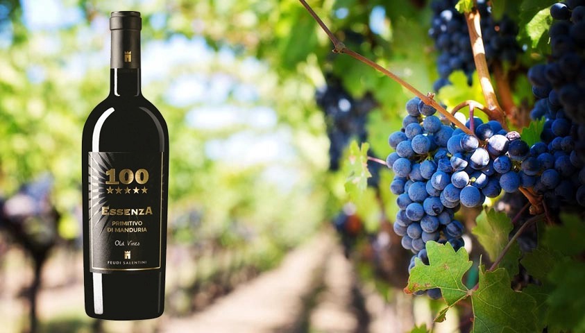 Rượu Vang 100 Essenza Primitivo di Manduria 1 Rượu Vang 100 Essenza Primitivo di Manduria