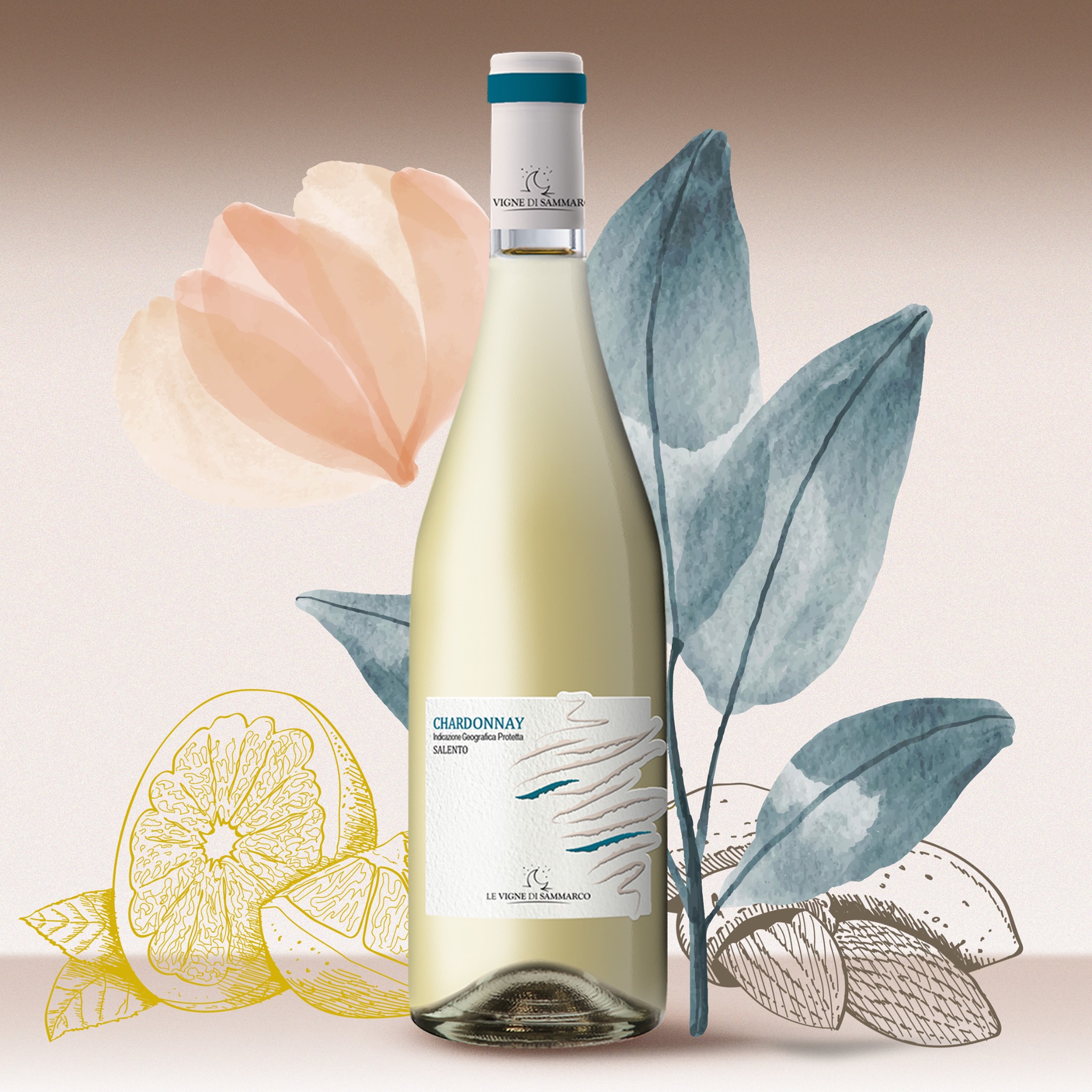 Rượu Vang Chardonnay Salento Le Vigne Di Sammarco 2 Rượu Vang Chardonnay Salento Le Vigne Di Sammarco