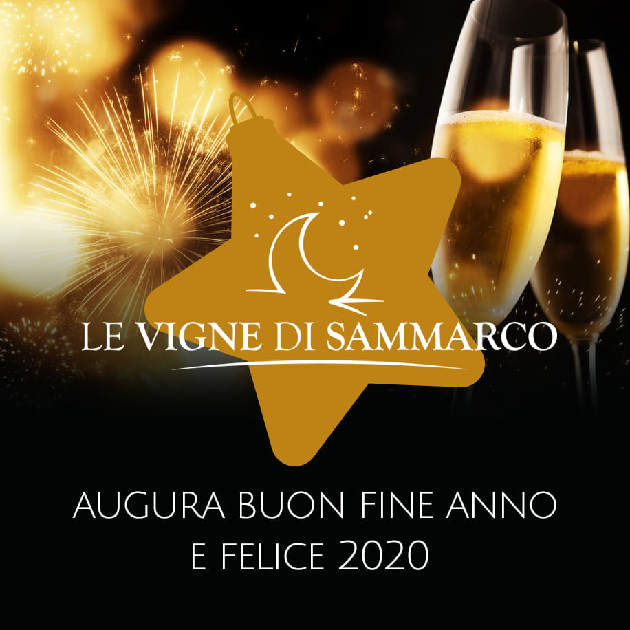 Rượu Vang Arche Primitivo Di Manduria 3 Vinh Danh Nhà Sản Xuất Rượu Vang Le Vigne Di Sammarco 2020