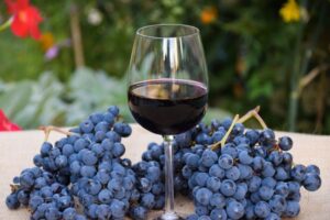 Giống Nho Malbec