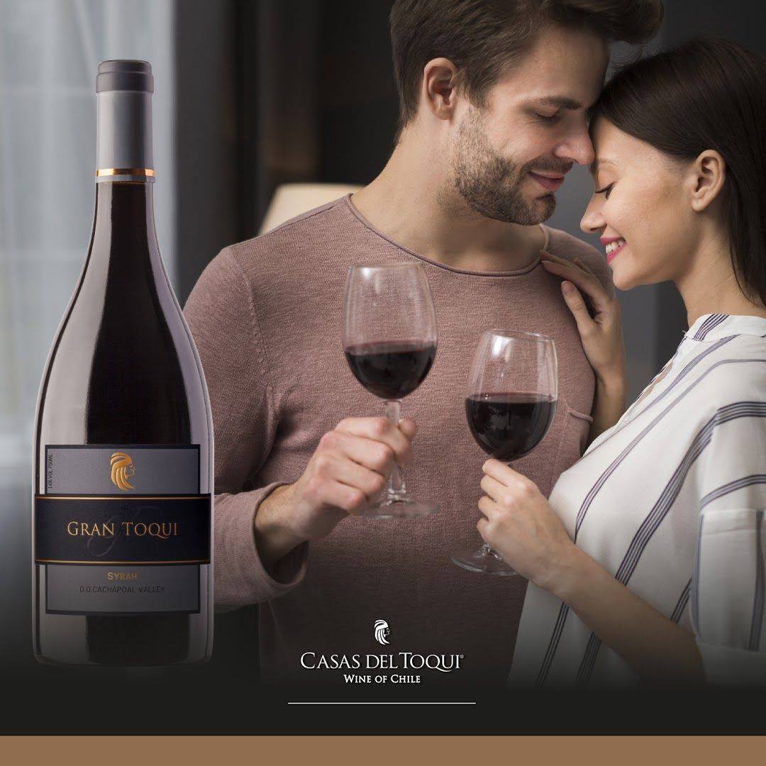 Nhà Sản Xuất Rượu Vang Casas Del Toqui 9 Rượu Vang Gran ToQui Syrah