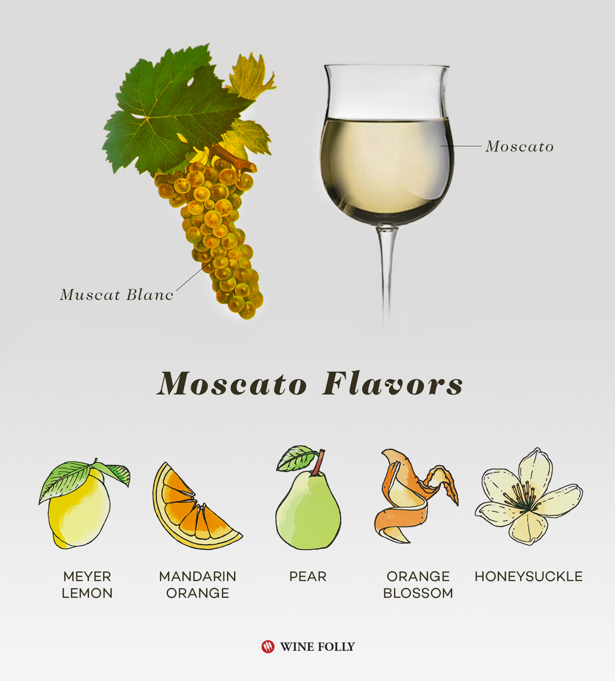 Màu sắc đặc trưng của rượu vang Moscato