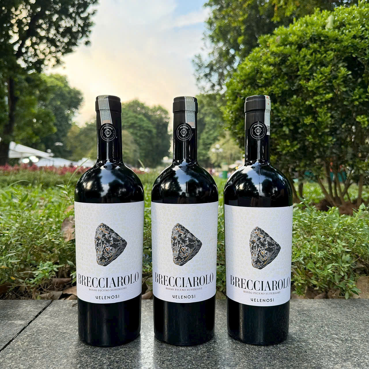 Rượu Vang Brecciarolo Rosso Piceno Superiore Velenosi