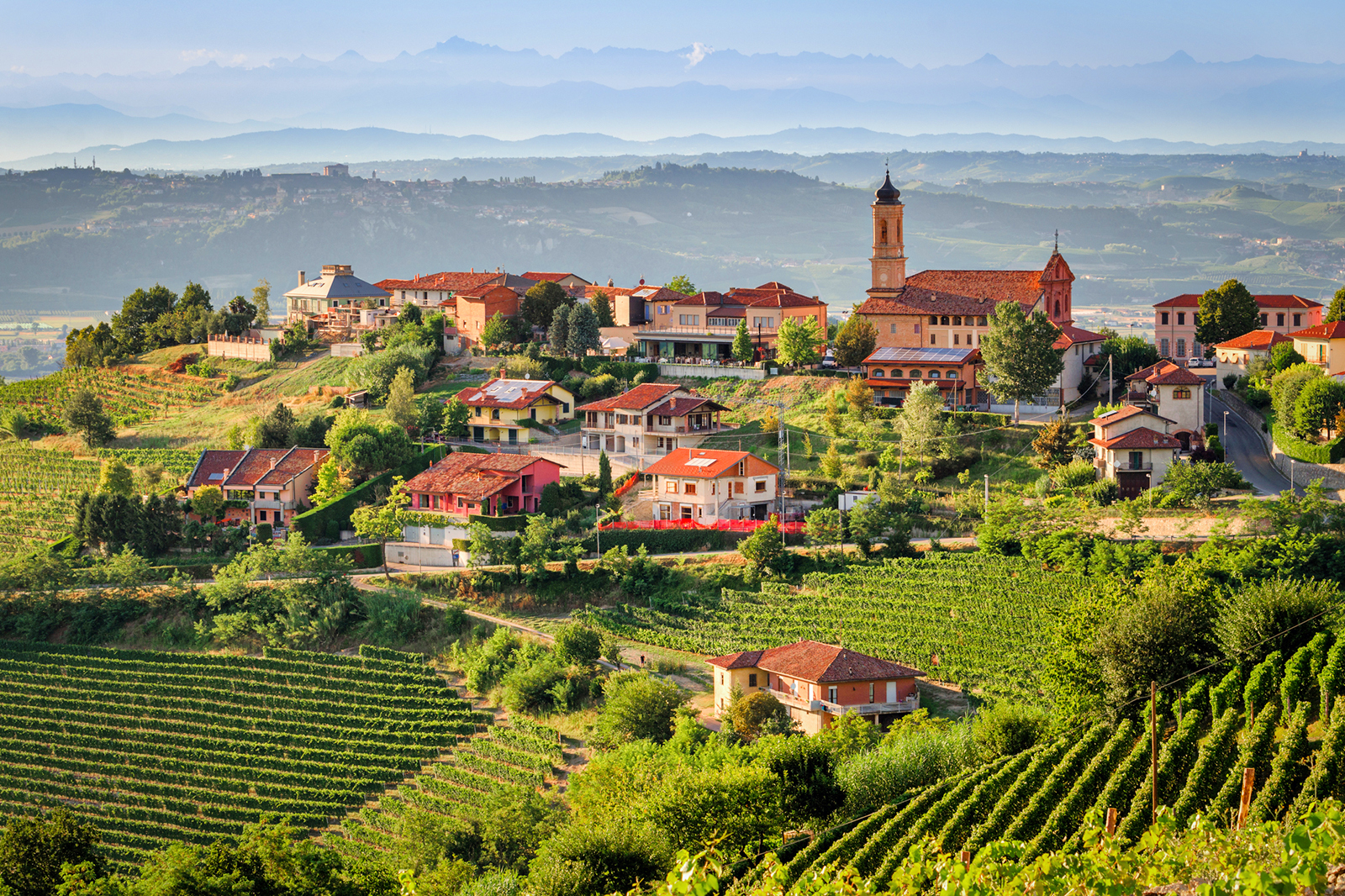 6 Vùng Làm Rượu Vang Nổi Tiếng Của Ý 11 Vùng làm vang Piemonte