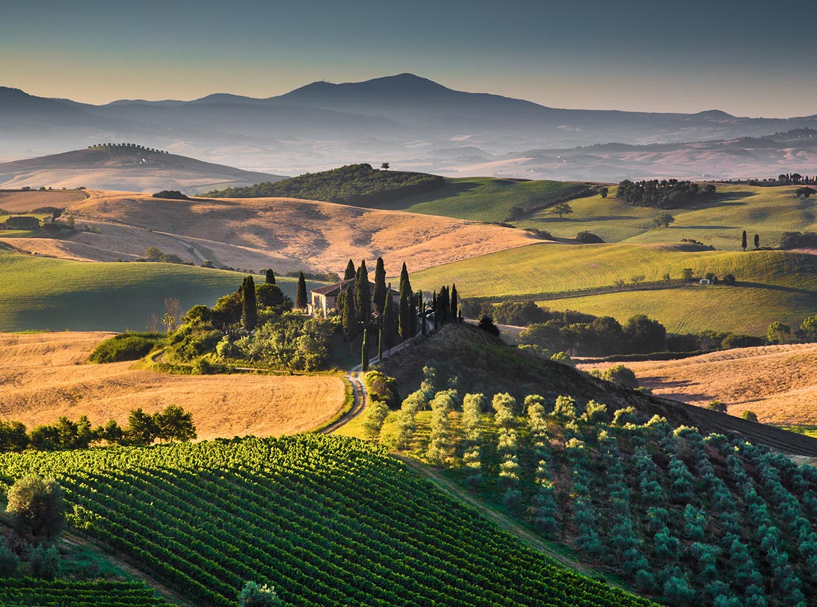 6 Vùng Làm Rượu Vang Nổi Tiếng Của Ý 10 Vùng làm vang Tuscany