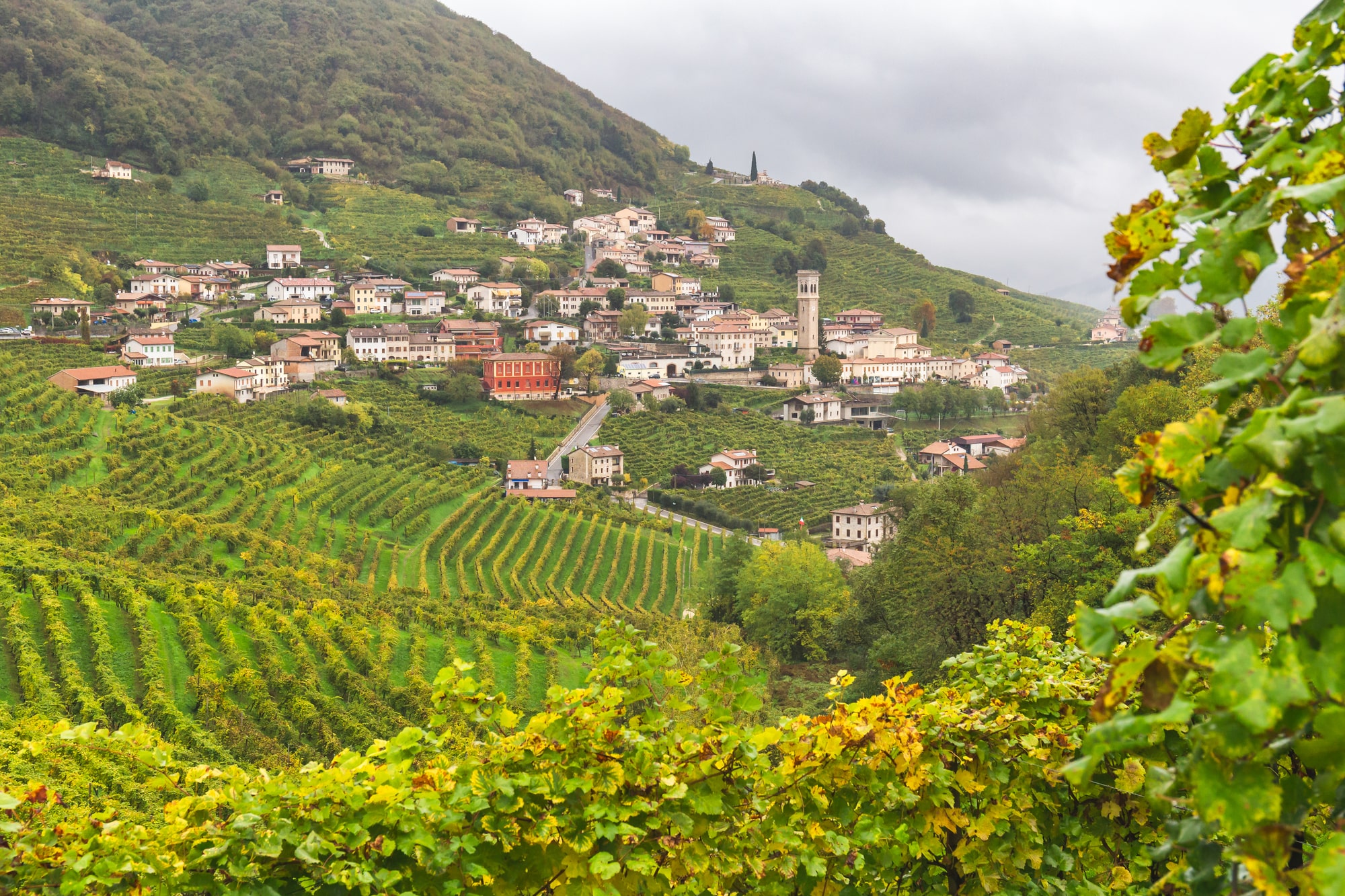 6 Vùng Làm Rượu Vang Nổi Tiếng Của Ý 8 Vùng làm vang Veneto