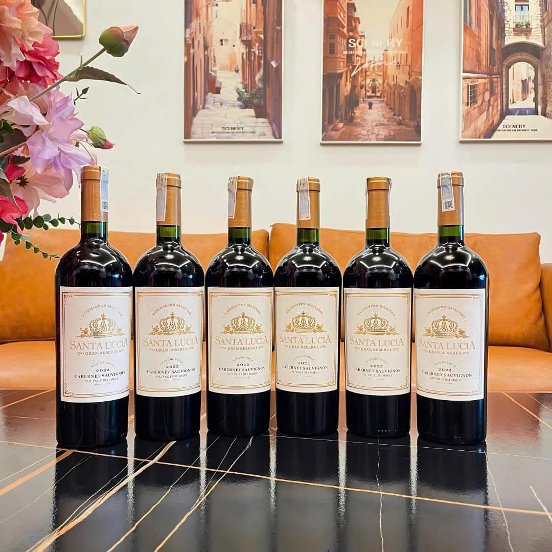 KHUYẾN MÃI MUA RƯỢU VANG CHILE, TẶNG LY PHA LÊ & DECANTER CAO CẤP! 5 6 chai ruou vang santa lucia gran reserva cabernet sauvignon