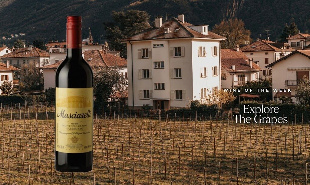 Rượu Vang Abruzzo — Ẩn Số Ngon Bổ Rẻ Của Nước Ý 10 VANG ABRUZZO e1778233600937