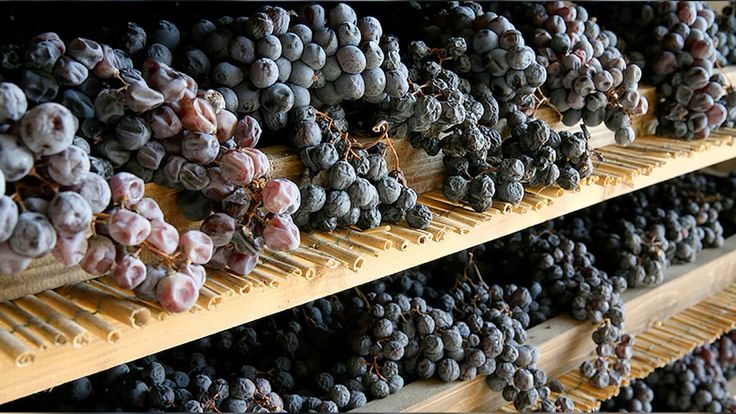 Rượu Vang Veneto — Vùng Sản Xuất Lớn Nhất Ý 6 rượu vang veneto