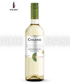 Rượu Vang Chilano Sauvignon Blanc