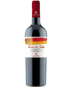 Rượu Vang Terre Di Sole Novello