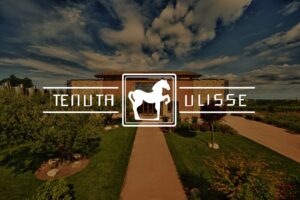 Tenuta Ulisse