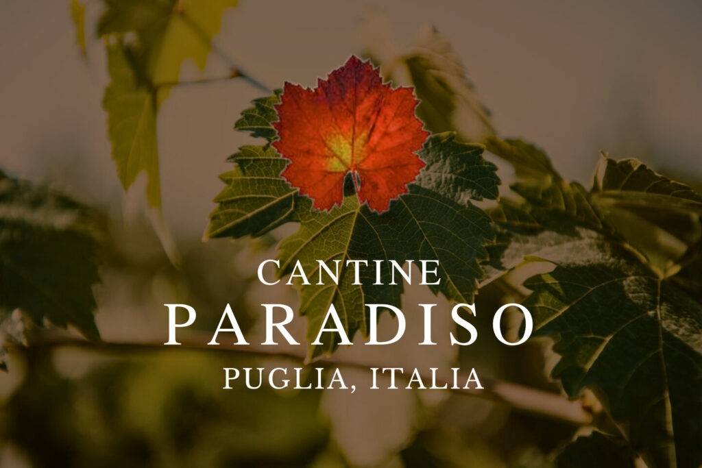 Nhà sản xuất rượu vang Paradiso