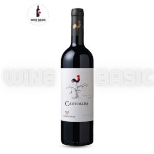 Rượu Vang Cantoalba Cabernet Sauvignon