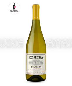 Rượu Vang Tarapaca Cosecha Chardonnay