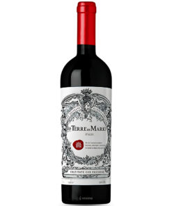 Rượu Vang Terre Di Mario Vino Rosso 17 Độ