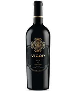 Rượu Vang Vigor Puglia IGT Limited Edition