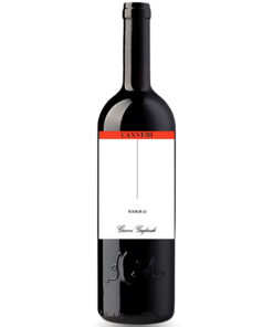 Rượu Vang Gianni Gagliardo Barolo Riserva Cannubi