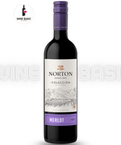 Rượu Vang Norton Coleccion Merlot