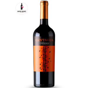 Rượu Vang Cantagua Carmenere