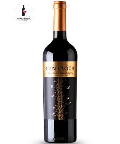 Rượu Vang Cantagua Reserva Cabernet Sauvignon