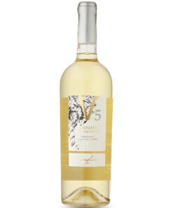 Rượu Vang V5 Malvasia Del Salento