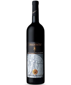 Rượu Vang Tridente Salento Rosso IGP