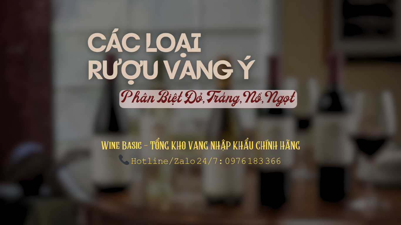 CÁC LOẠI RƯỢU VANG Ý