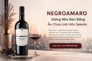 Negroamaro rượu vang ý