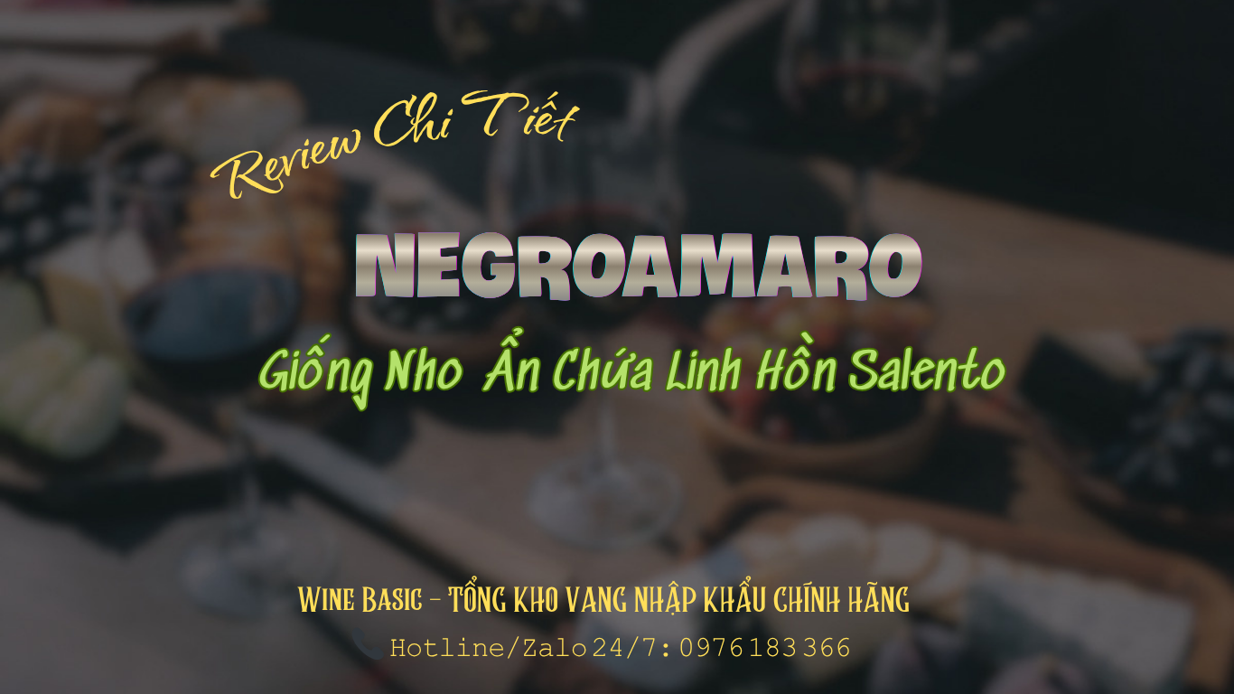 Negroamaro ruou vang y