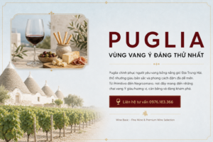 Rượu Vang Puglia