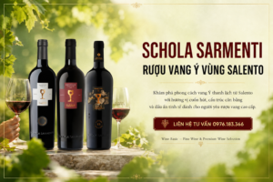 Schola Sarmenti Rượu Vang Ý