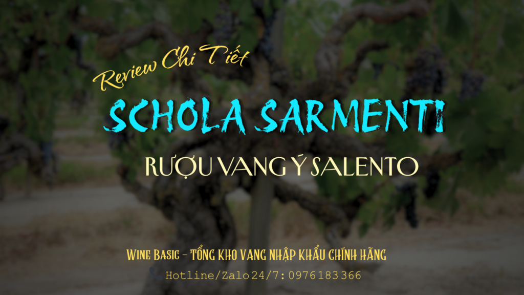 Schola Sarmenti Rượu Vang Ý