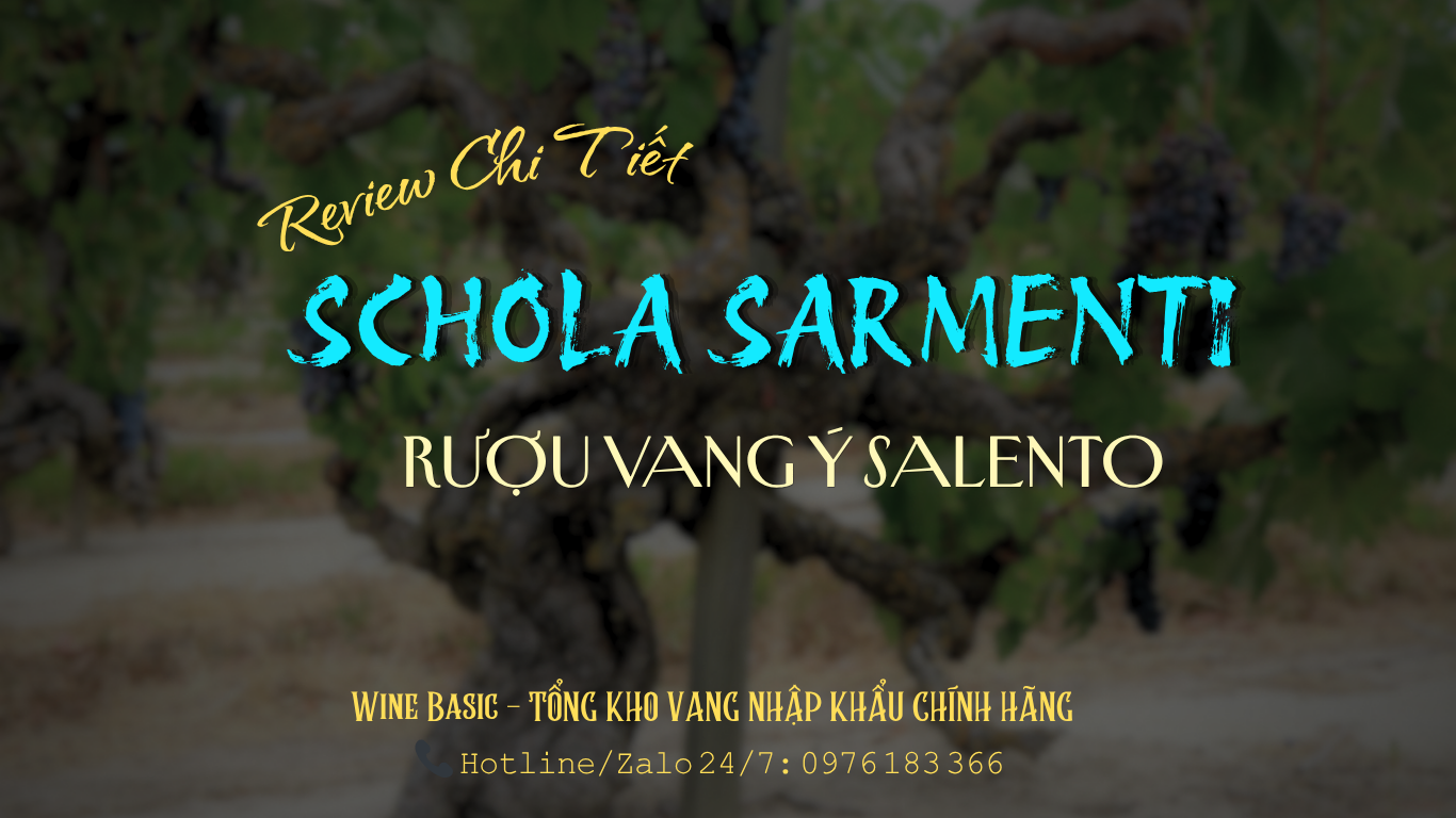Schola Sarmenti Rượu Vang Ý