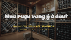mua ruou vang y o dau