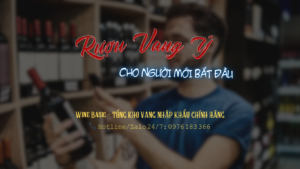 rượu vang ý cho người mới