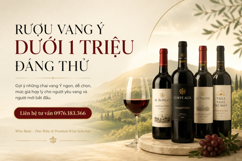 Top 8 chai Rượu Vang Ý Dưới 1 Triệu Ngon Nhất Định Phải Thử 11 rượu vang ý dưới 1 triệu