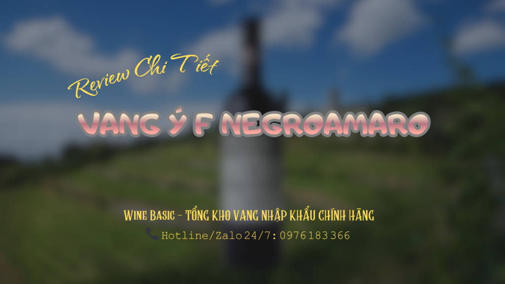 ruou vang y f negroamaro