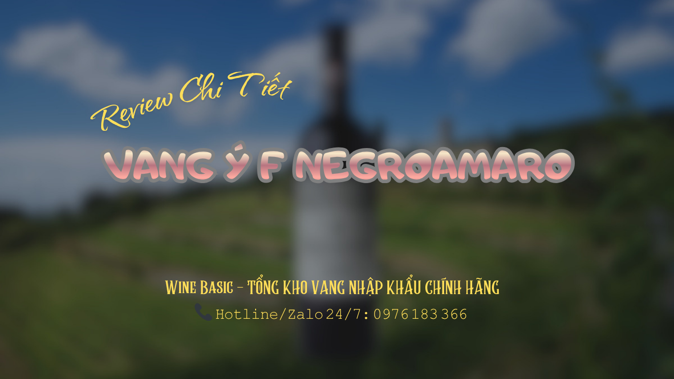 ruou vang y f negroamaro