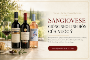 Sangiovese