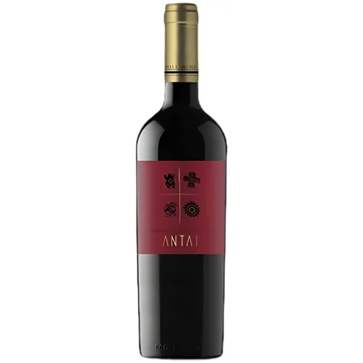 Rượu Vang Antai Cabernet Sauvignon – 750ml – Chile