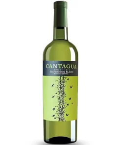 Rượu Vang Cantagua Sauvignon Blanc – 750ml – Chile