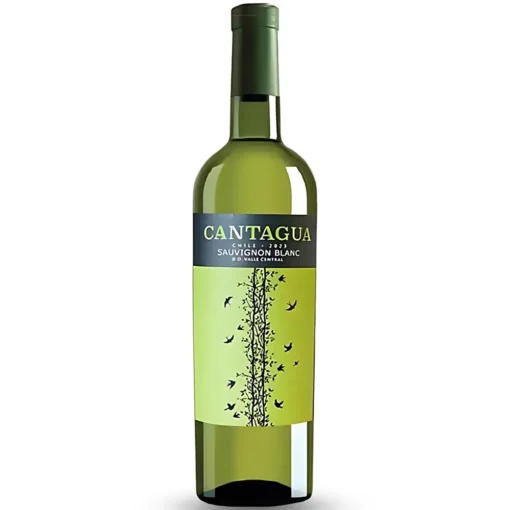 Rượu Vang Cantagua Sauvignon Blanc – 750ml – Chile