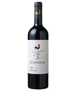 Rượu Vang Cantoalba Cabernet Sauvignon – 750ml – Chile