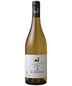 Rượu Vang Cantoalba Chardonnay – 750ml – Chile