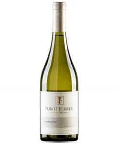Rượu Vang Punti Ferrer Chardonnay – 750ml – Chile