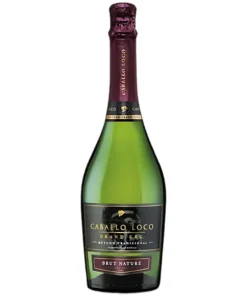 Rượu Vang Valdivieso Sparkling Caballo Loco – 750ml – Chile